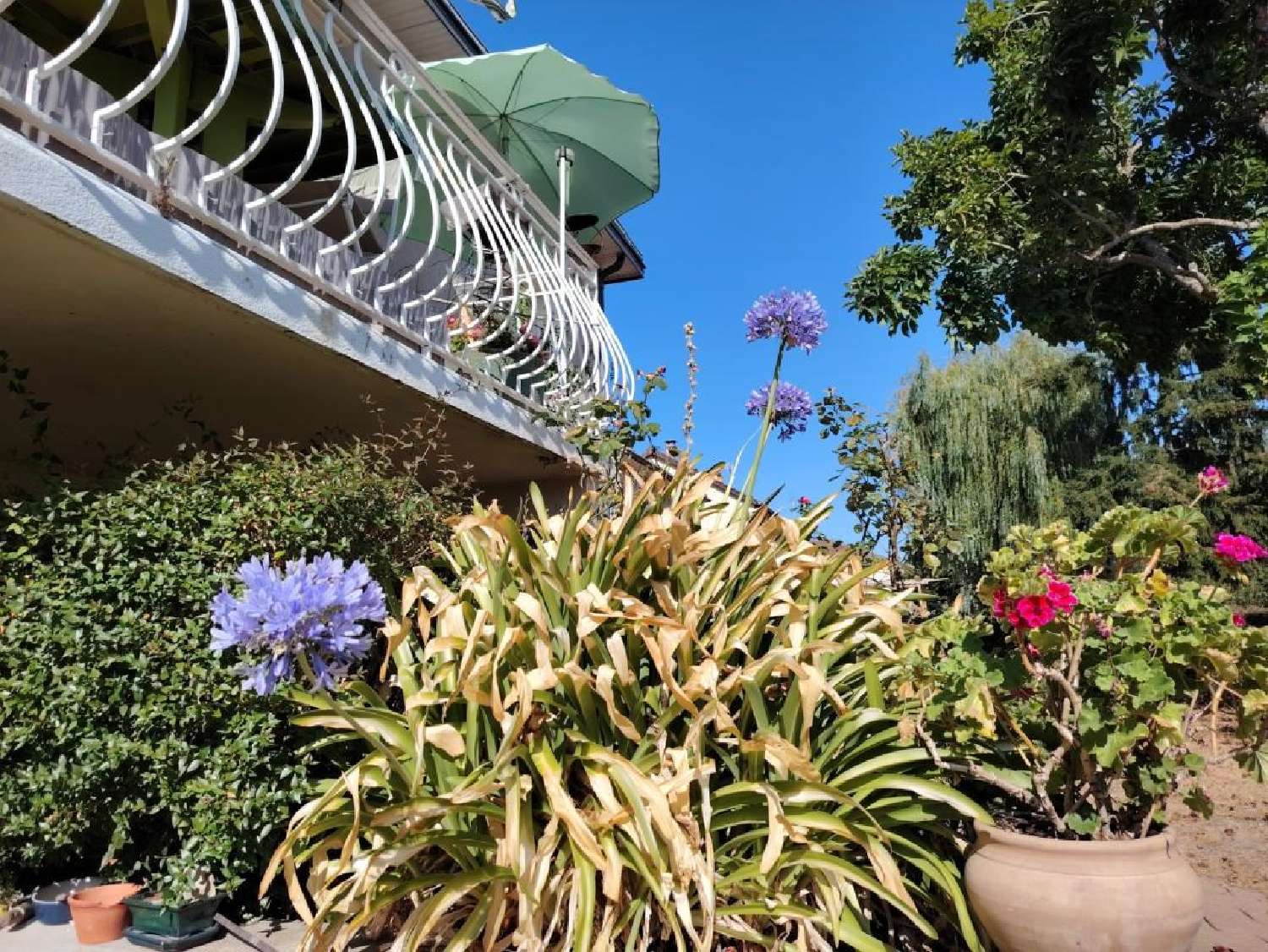 en venta casa Thuré Vienne 5
