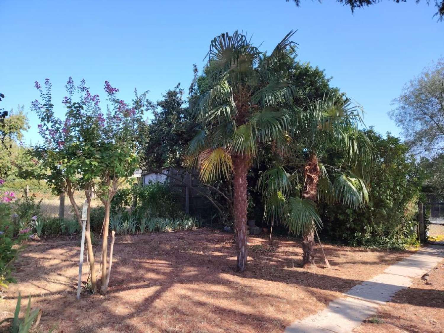 en venta casa Thuré Vienne 6