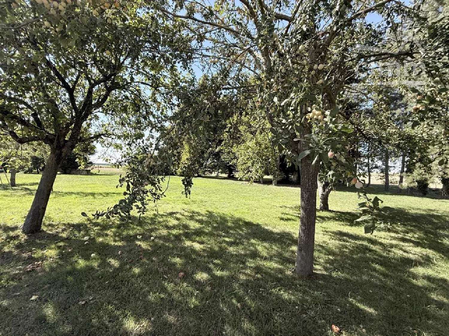 for sale house Tourailles Loir-et-Cher 5