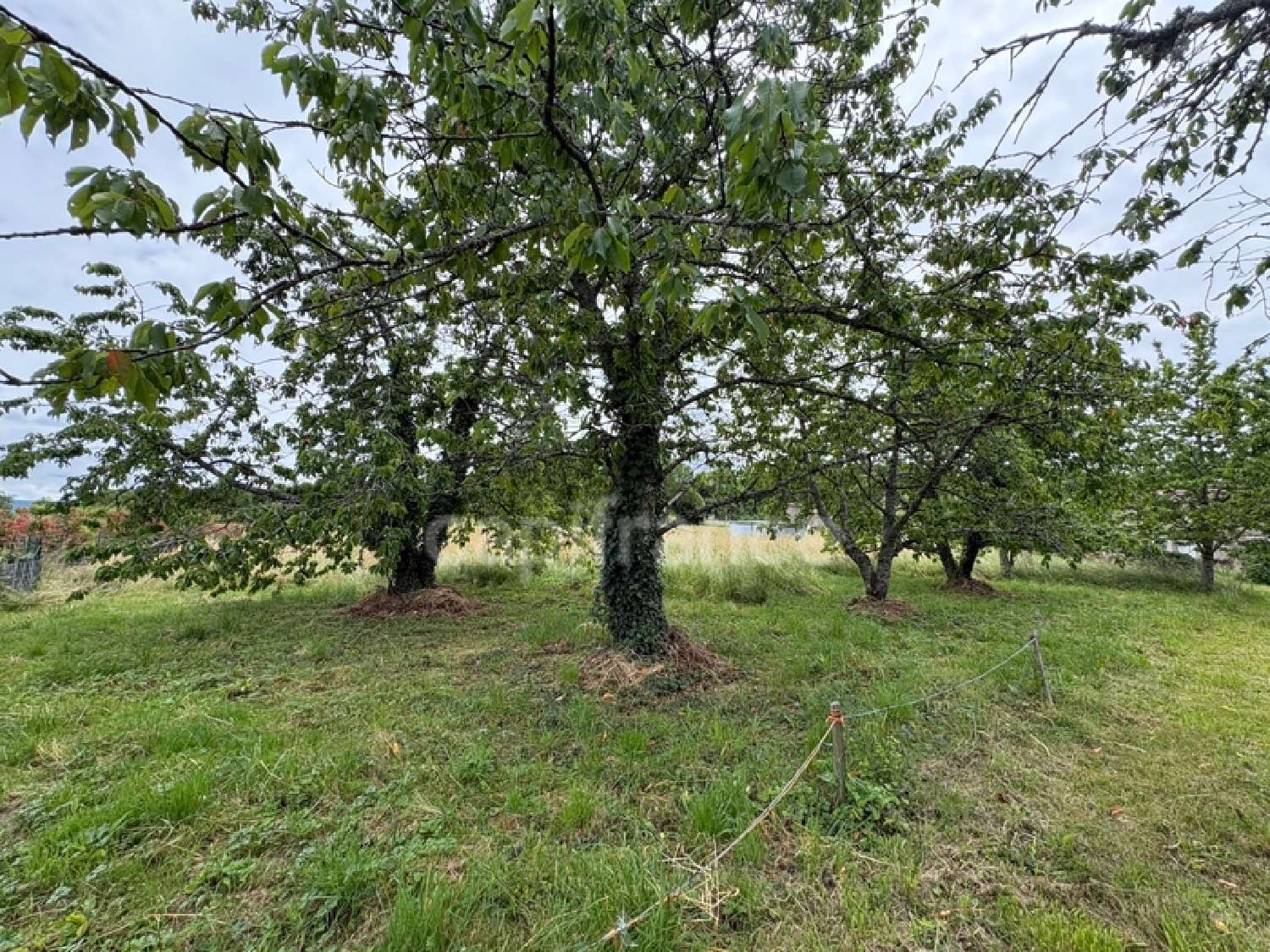  te koop huis Tours-sur-Meymont Puy-de-Dôme 5