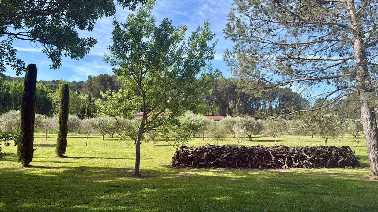  te koop huis Trets Bouches-du-Rhône 6