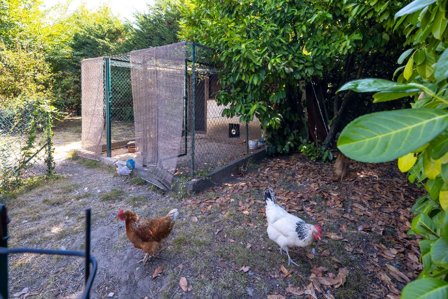 à vendre maison Vence Alpes-Maritimes 6