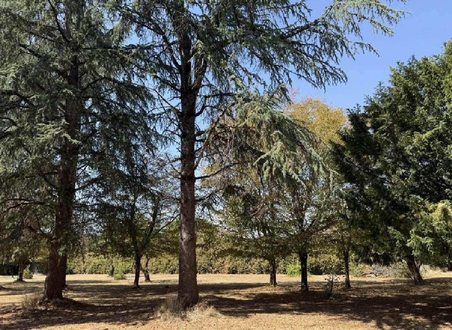  kaufen Haus Verteuil-sur-Charente Charente 5