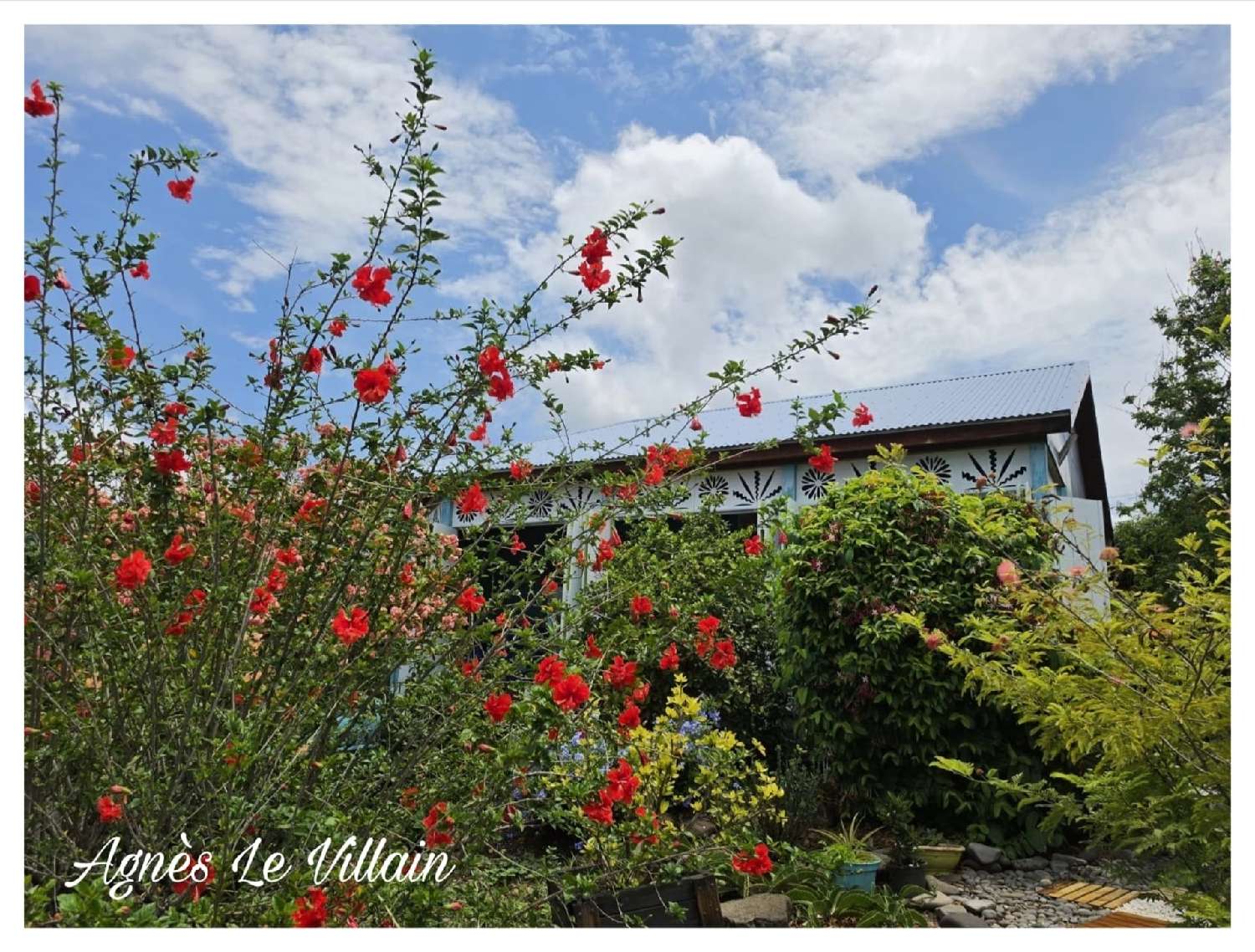  for sale house Vieux-Habitants Guadeloupe 2