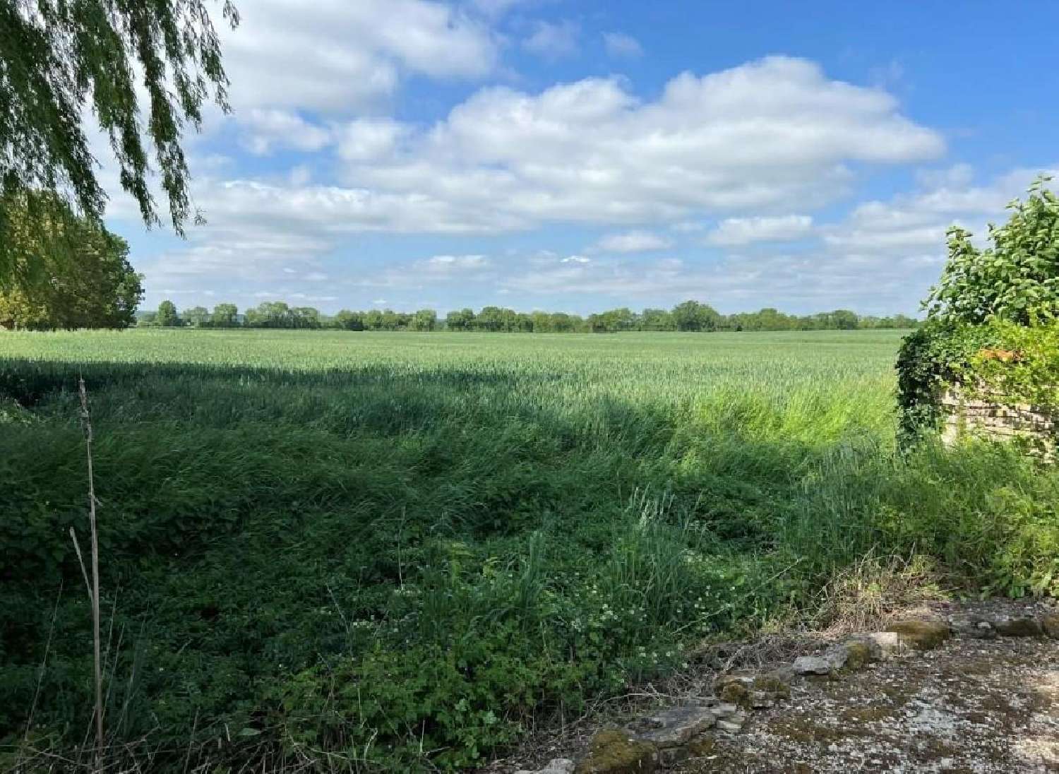 te koop huis Villefagnan Charente 2
