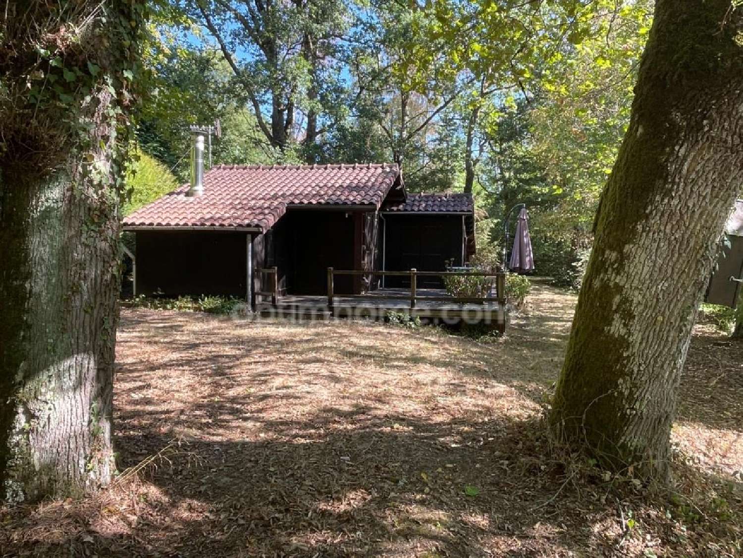te koop huis Villefavard Haute-Vienne 5
