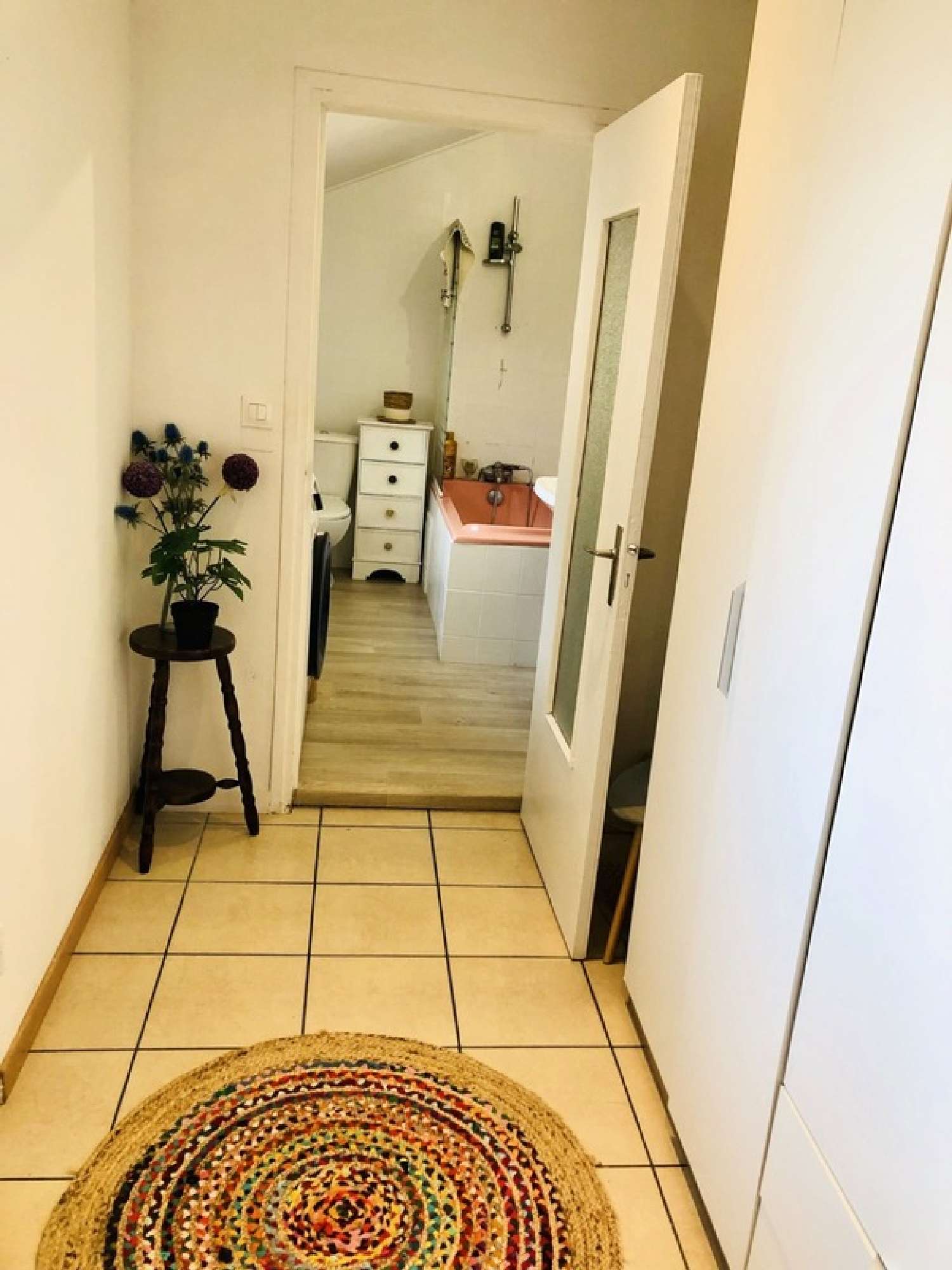  à vendre maison Villemandeur Loiret 2