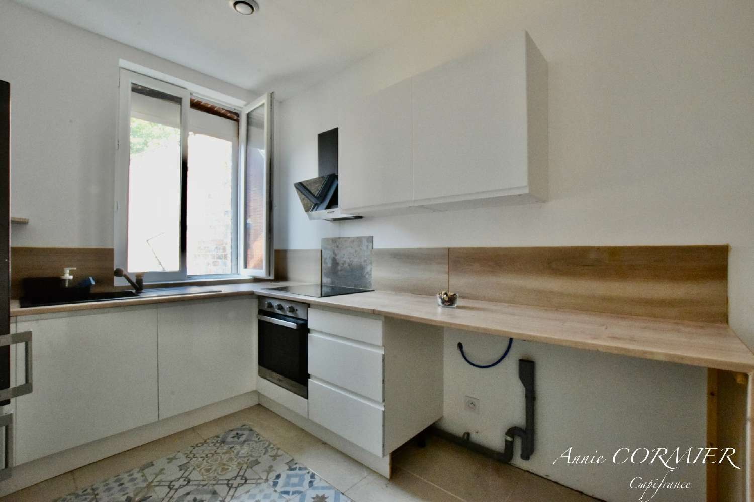 for sale house Villemurlin Loiret 1