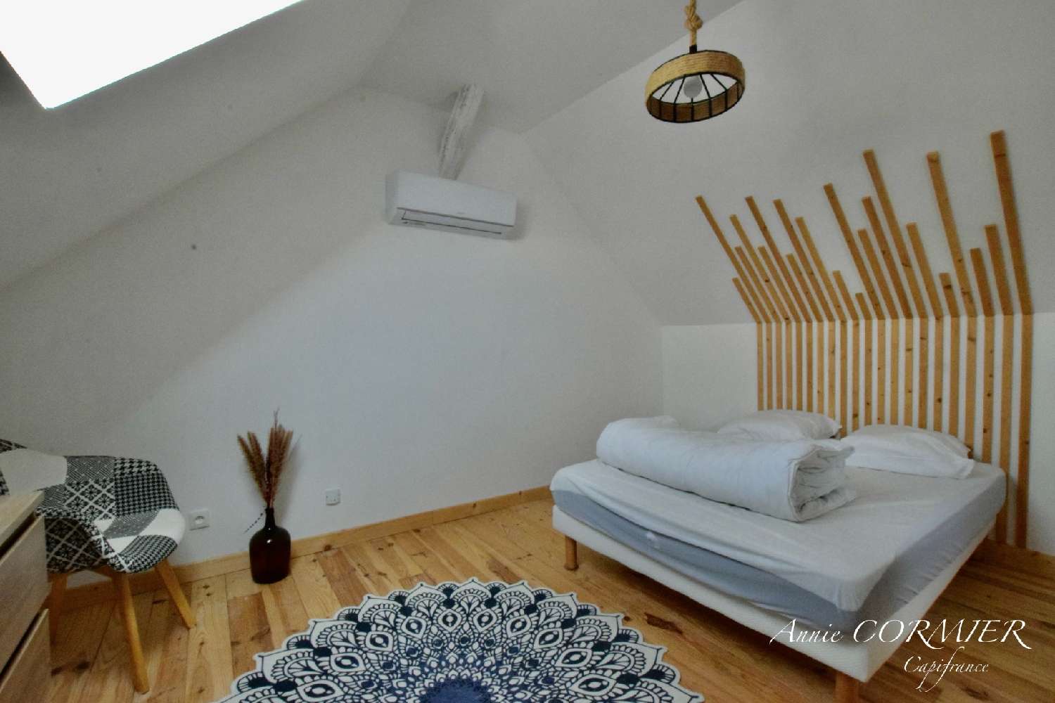 for sale house Villemurlin Loiret 3