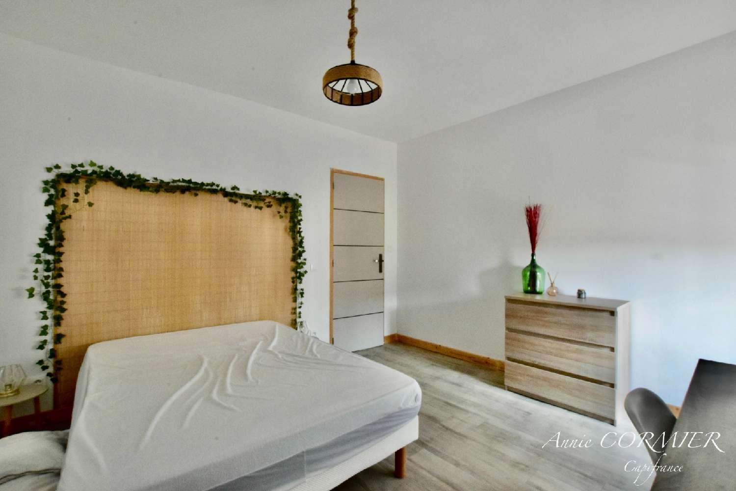 for sale house Villemurlin Loiret 4