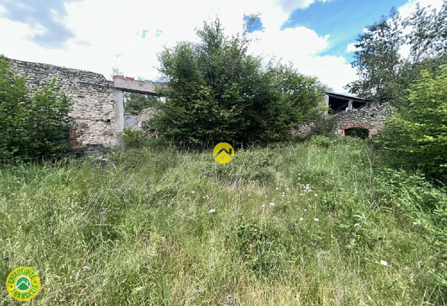 for sale house Voussac Allier 3