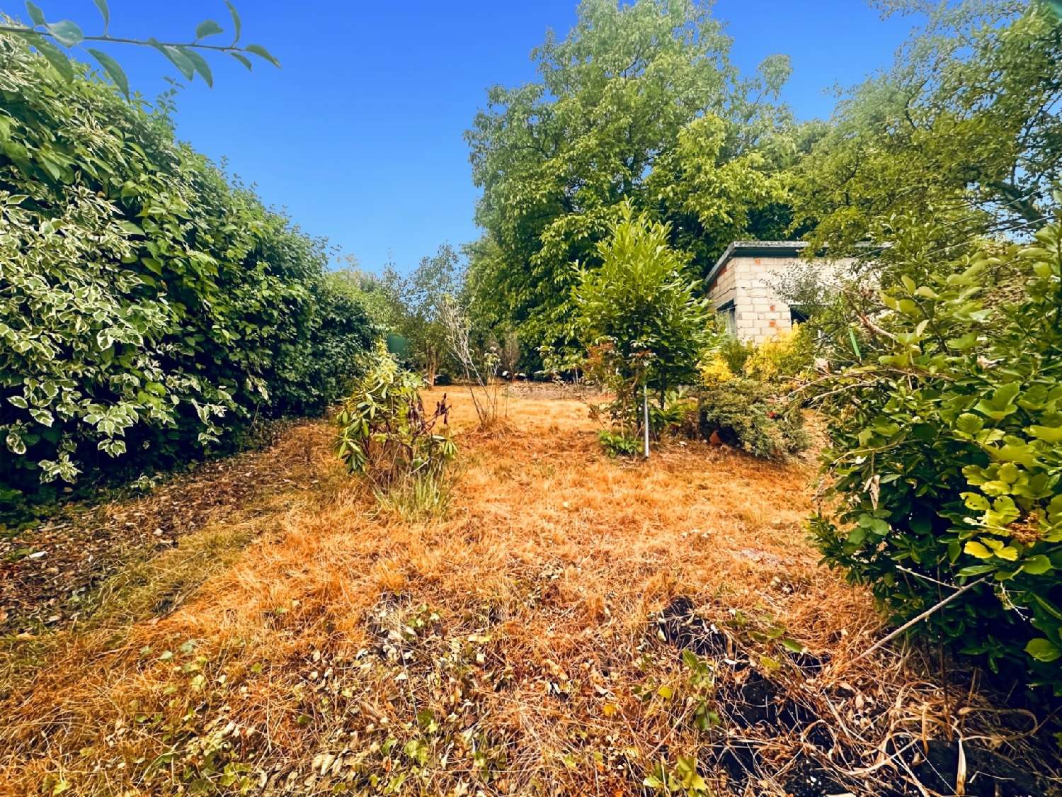  te koop huis Warcq Ardennes 2