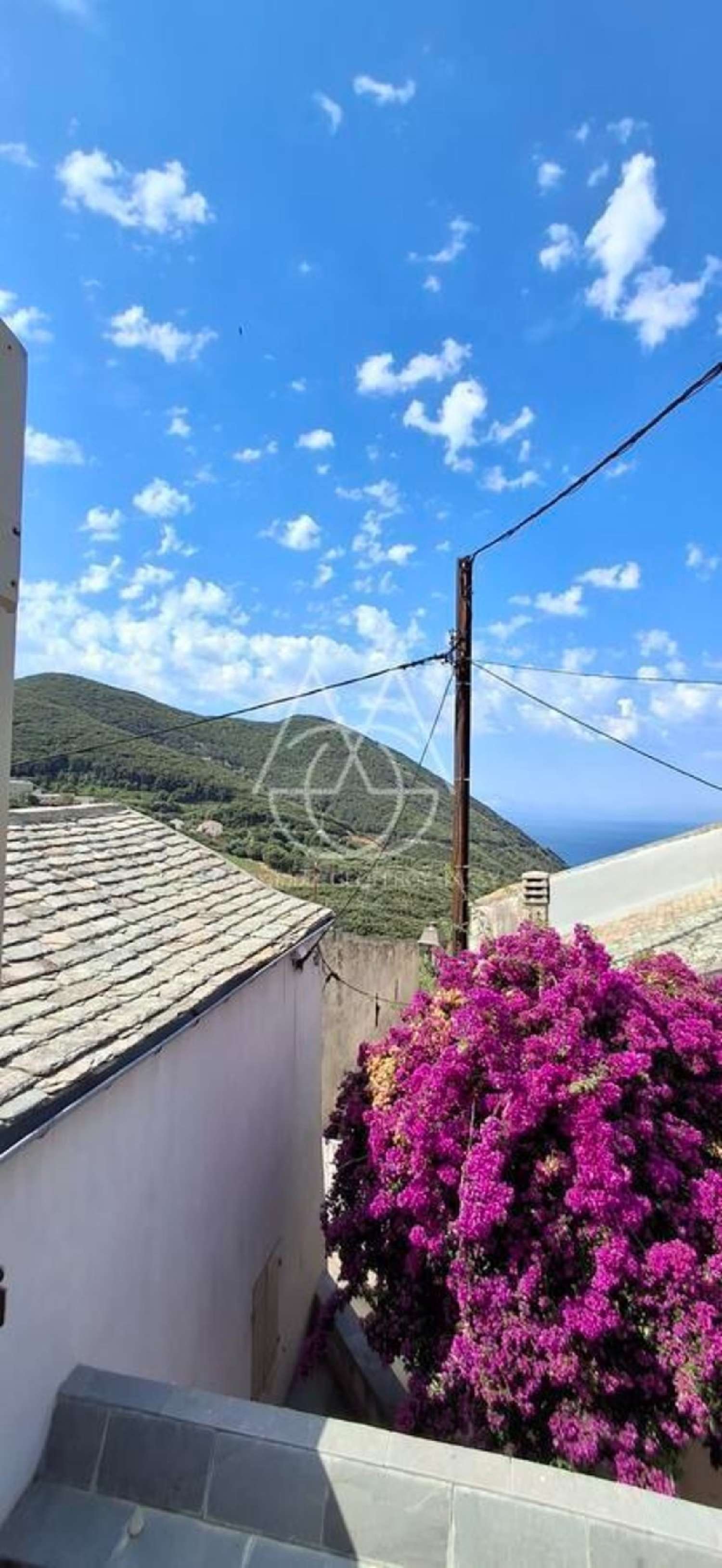  kaufen Bürgerhaus Centuri Haute-Corse 3