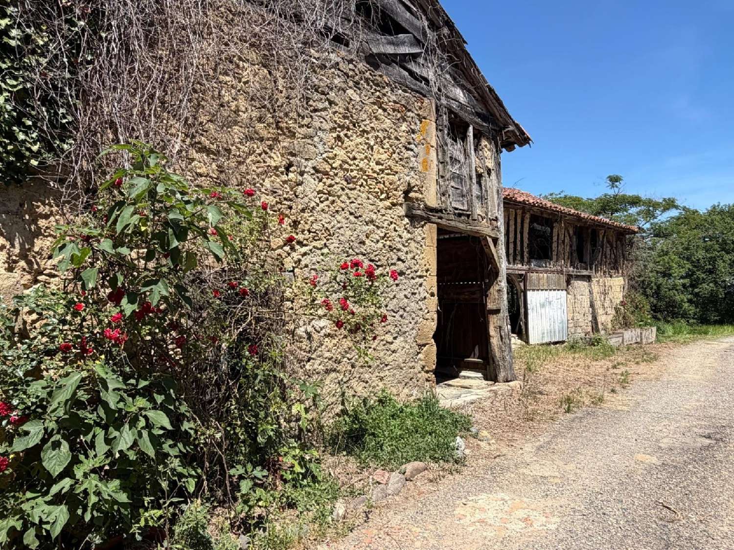 for sale mansion Plaisance Gers 6