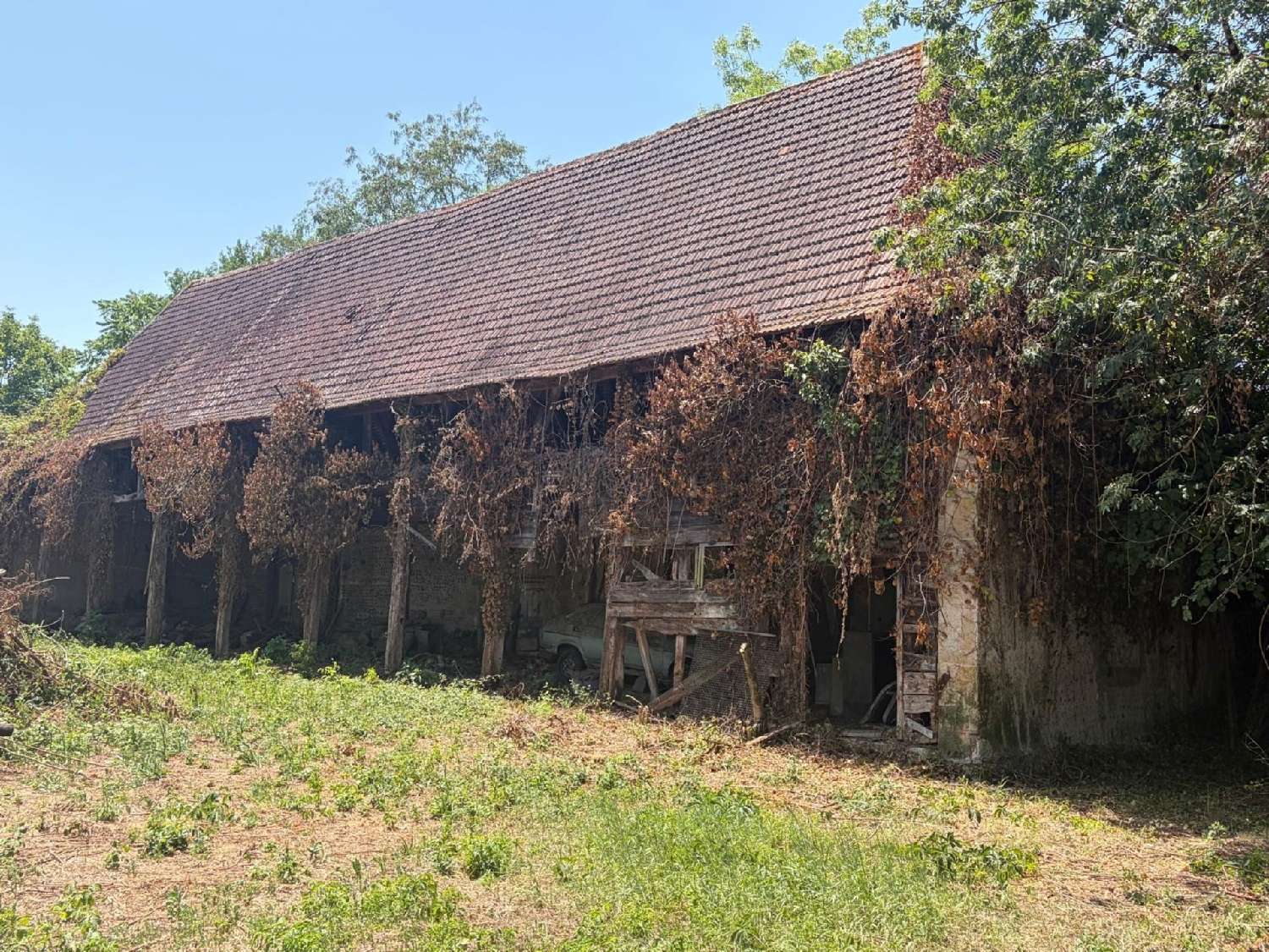  kaufen Bürgerhaus Plaisance Gers 3