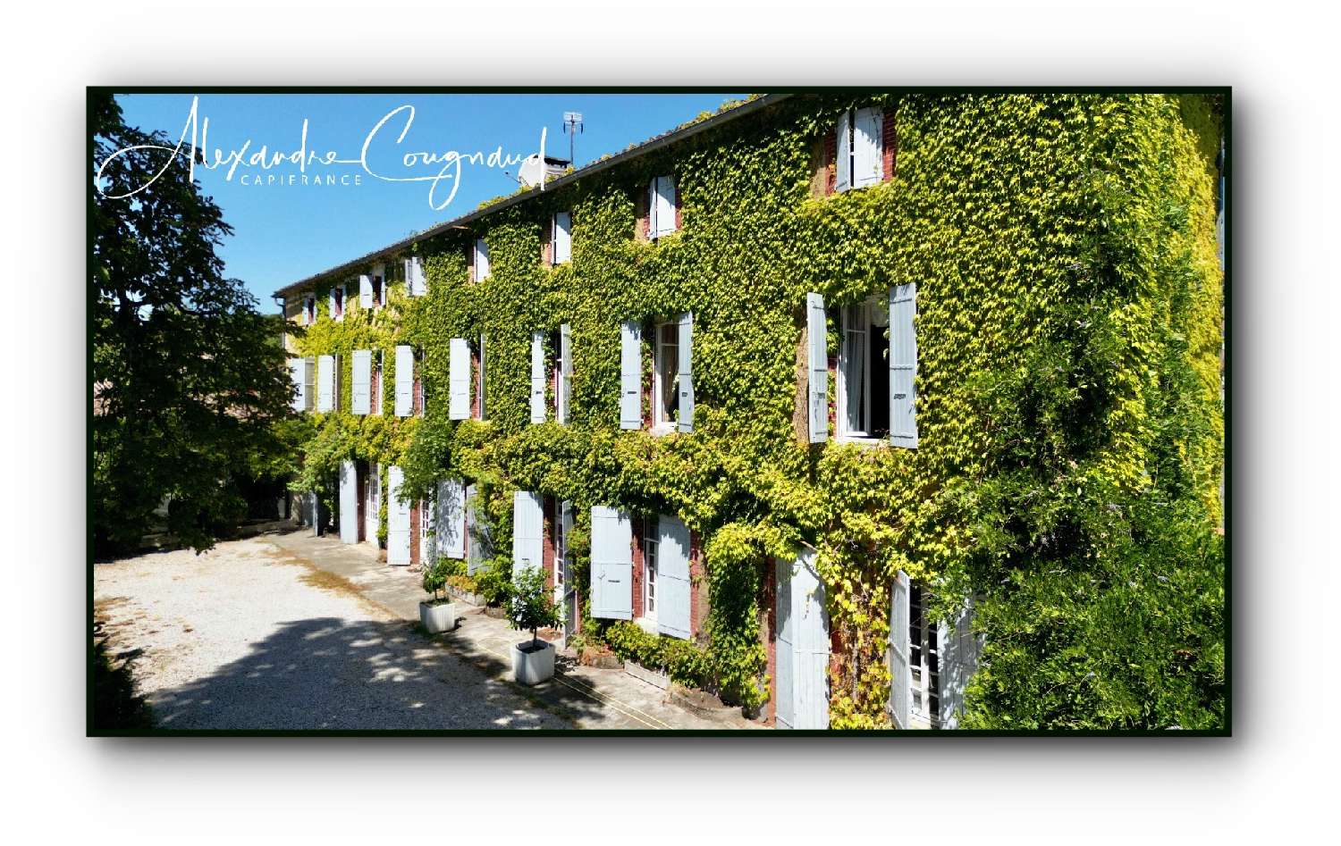  for sale mansion Roquecourbe Tarn 1