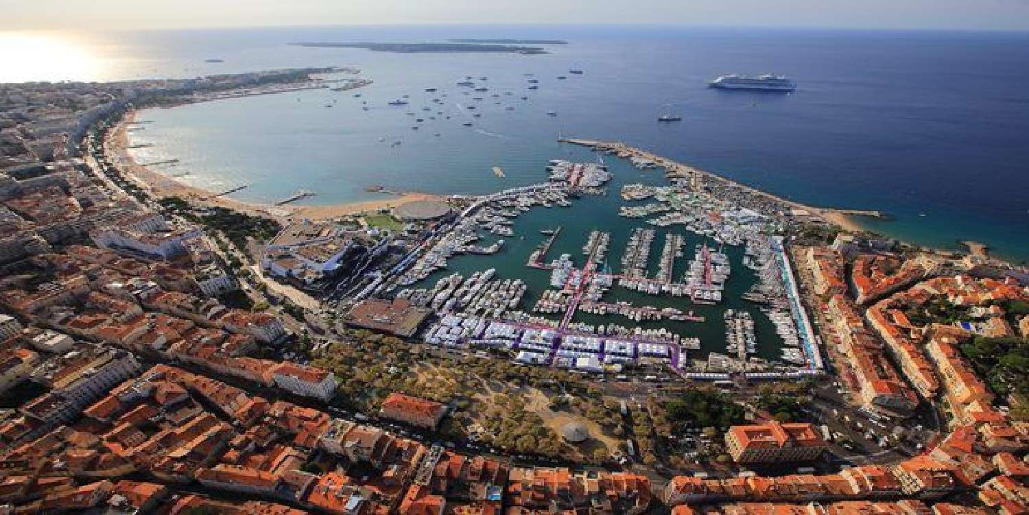 kaufen Büro Cannes Alpes-Maritimes 1