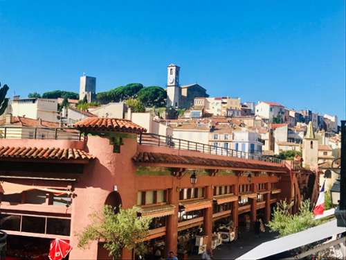Cannes Alpes-Maritimes Büro Bild 7388390