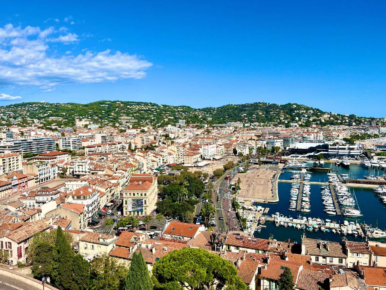 à vendre bureau Cannes Alpes-Maritimes 1