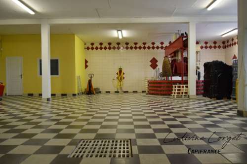 Chavot-Courcourt Marne Büro Bild 7392182