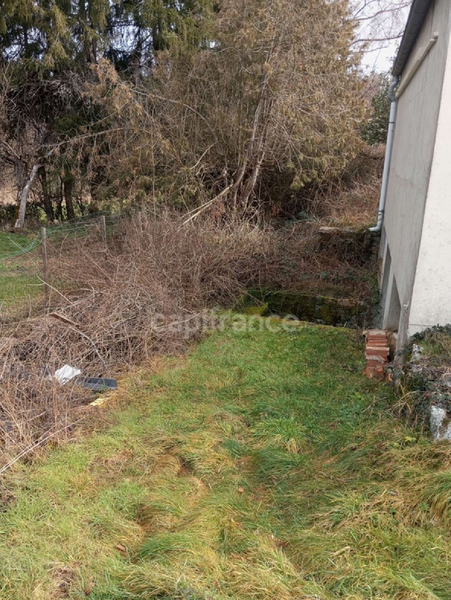 for sale office Saint-Julien-la-Vêtre Loire 5