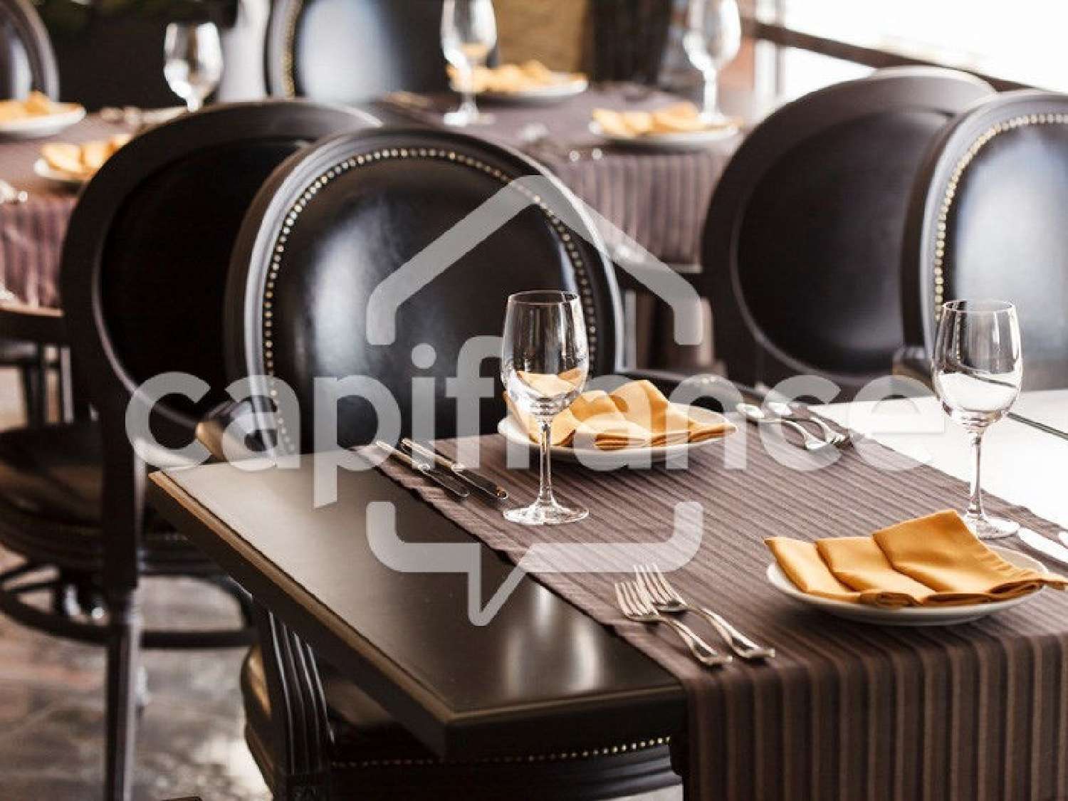 for sale restaurant Aix-les-Bains Savoie 1