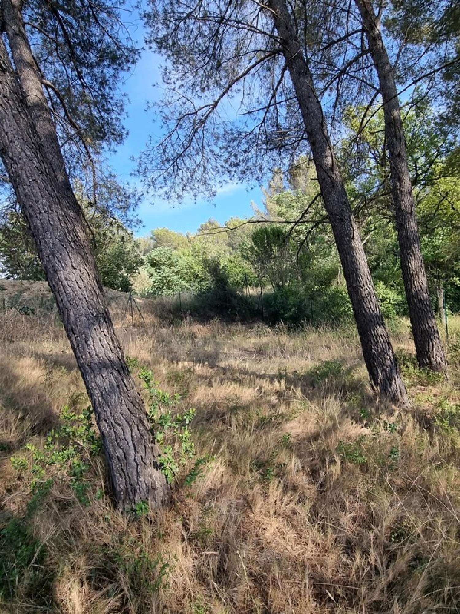 à vendre terrain Aix-en-Provence Bouches-du-Rhône 5