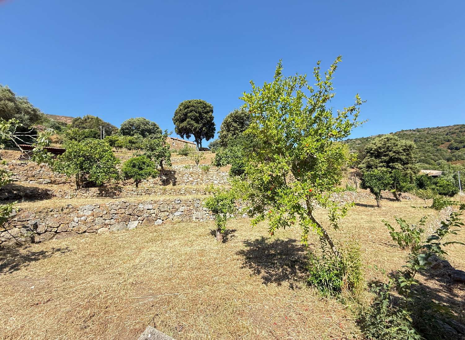 kaufen Grundstück Alata Corse-du-Sud 2