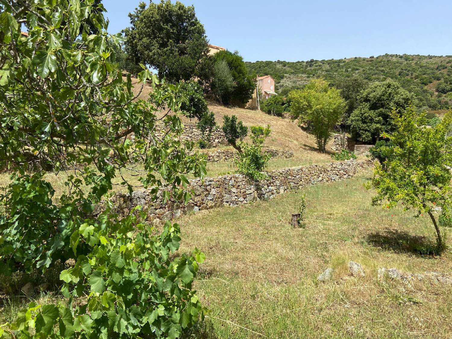kaufen Grundstück Alata Corse-du-Sud 4