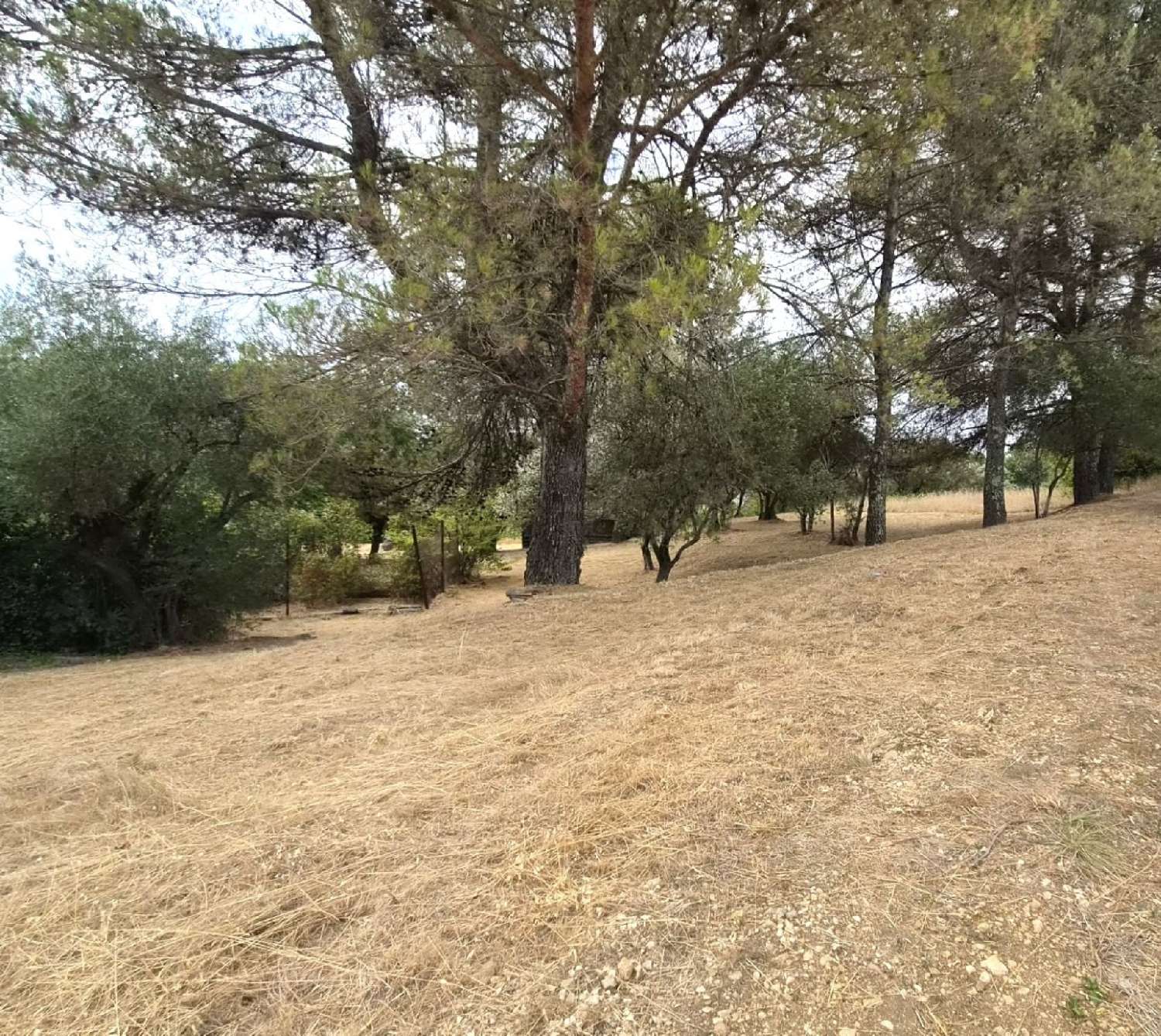 à vendre terrain Alès Gard 2