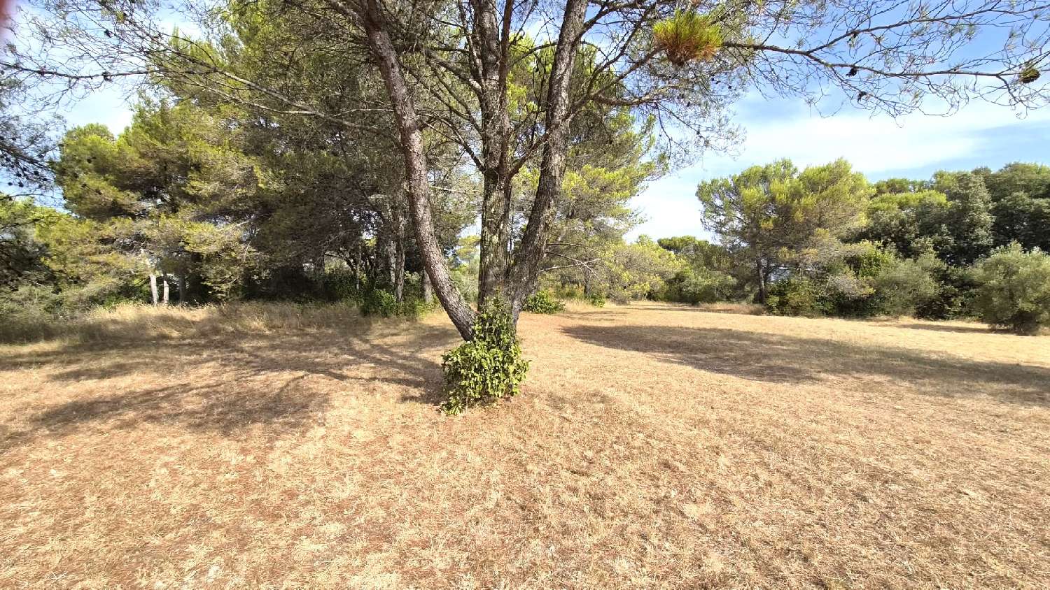 à vendre terrain Alès Gard 2