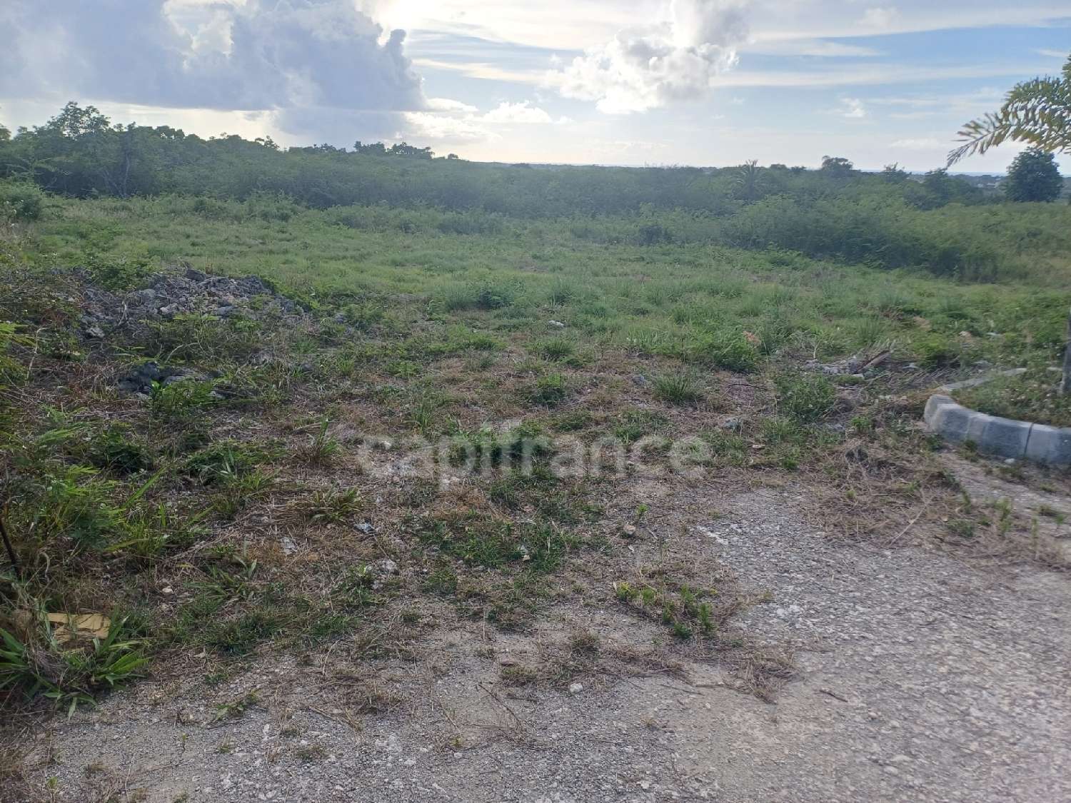 for sale terrain Anse-Bertrand Guadeloupe 2