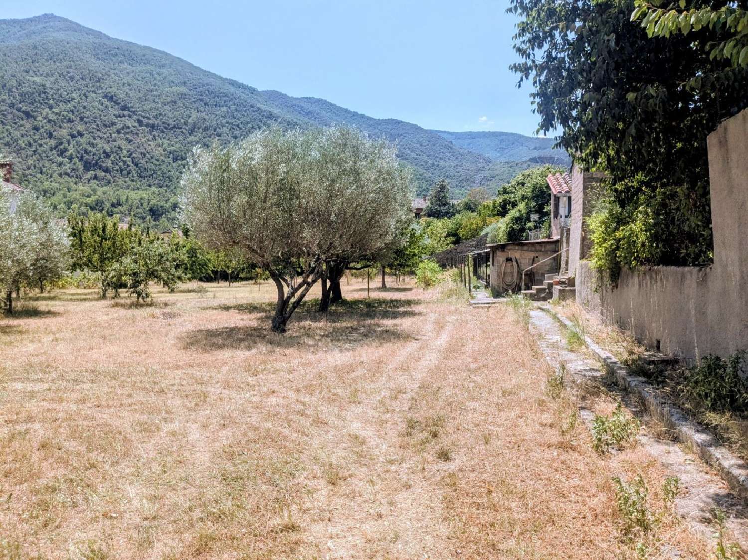 kaufen Grundstück Arles-sur-Tech Pyrénées-Orientales 1
