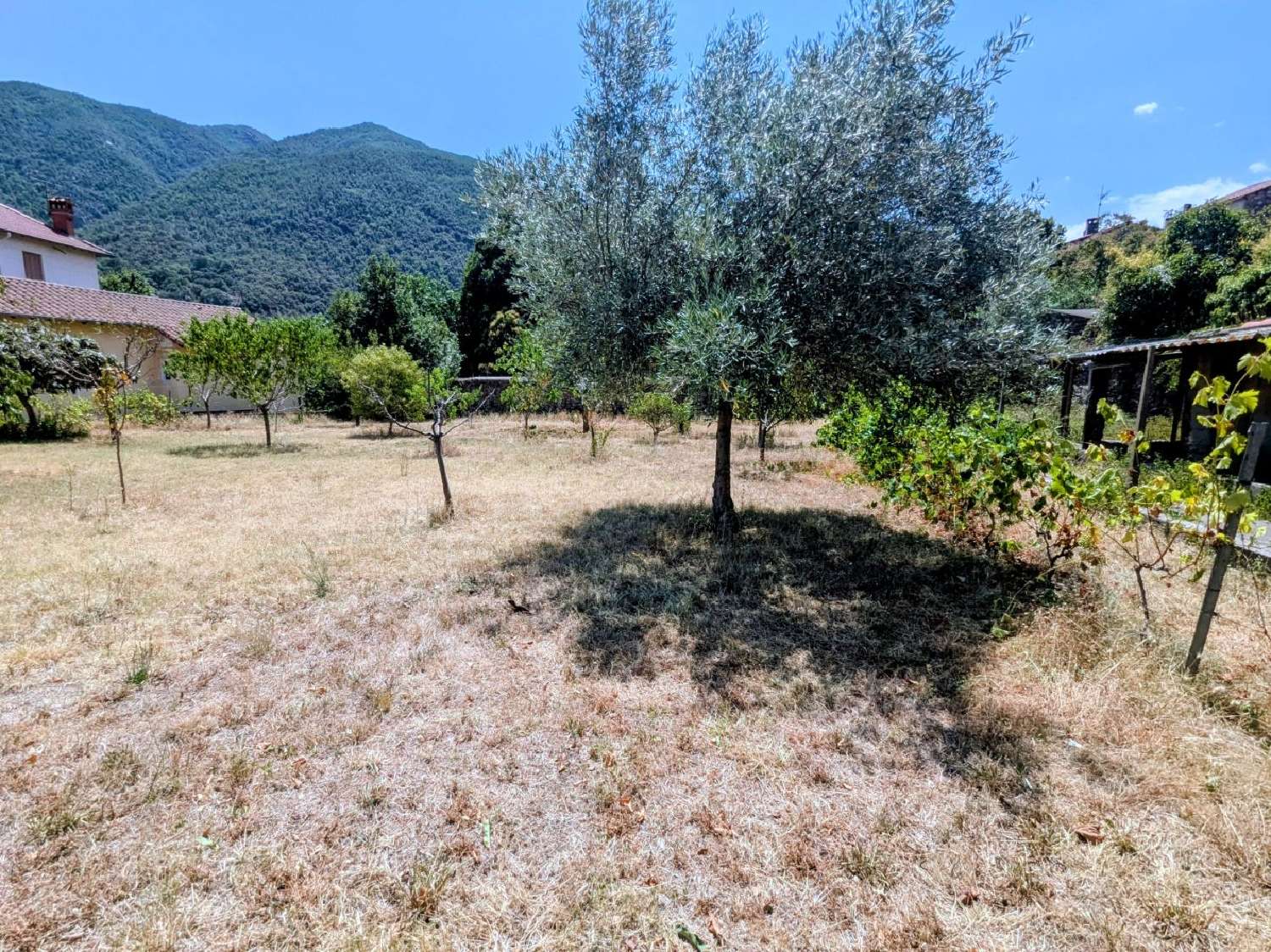  for sale terrain Arles-sur-Tech Pyrénées-Orientales 3