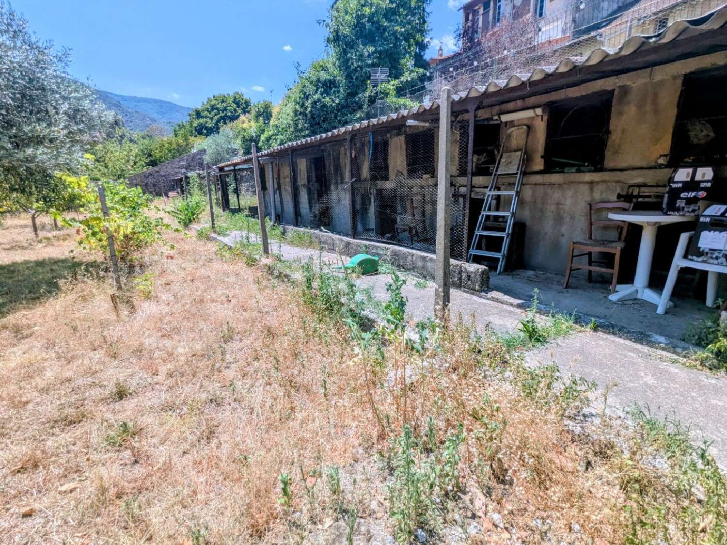  for sale terrain Arles-sur-Tech Pyrénées-Orientales 4