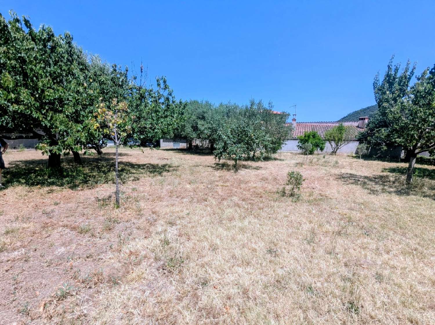  for sale terrain Arles-sur-Tech Pyrénées-Orientales 5