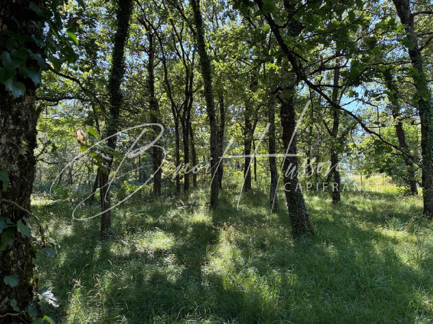  à vendre terrain Auribail Haute-Garonne 4