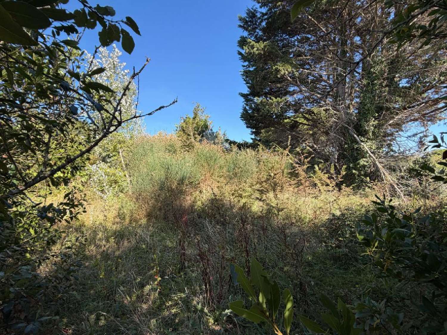  en venta terreno Barbâtre Vendée 1