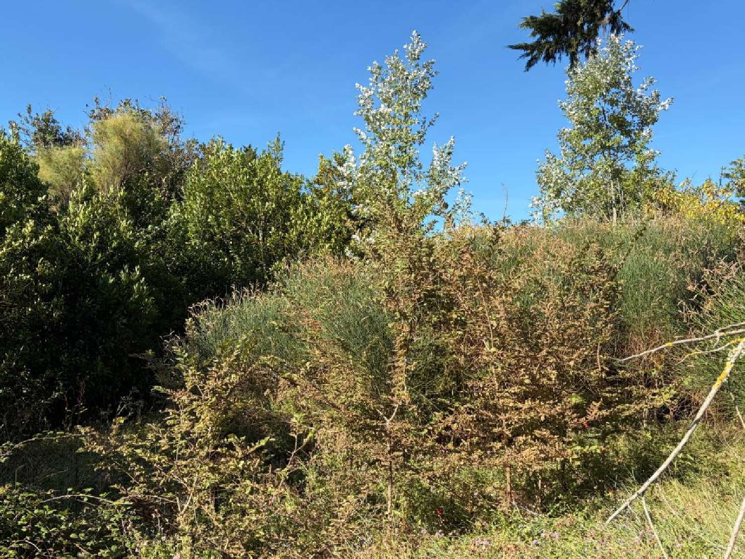  en venta terreno Barbâtre Vendée 3