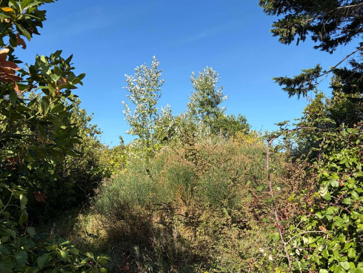  en venta terreno Barbâtre Vendée 4