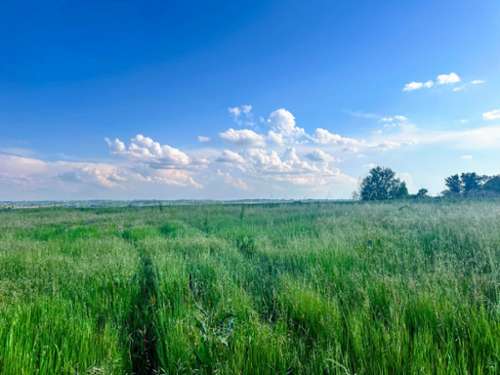 Bazus Haute-Garonne terreno foto 7386030