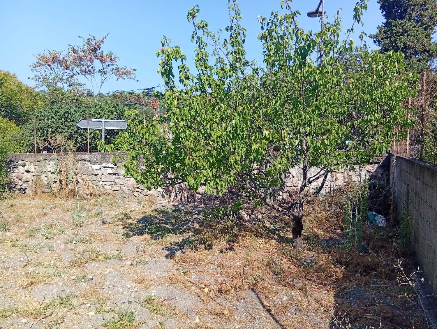 à vendre terrain Bédarieux Hérault 3