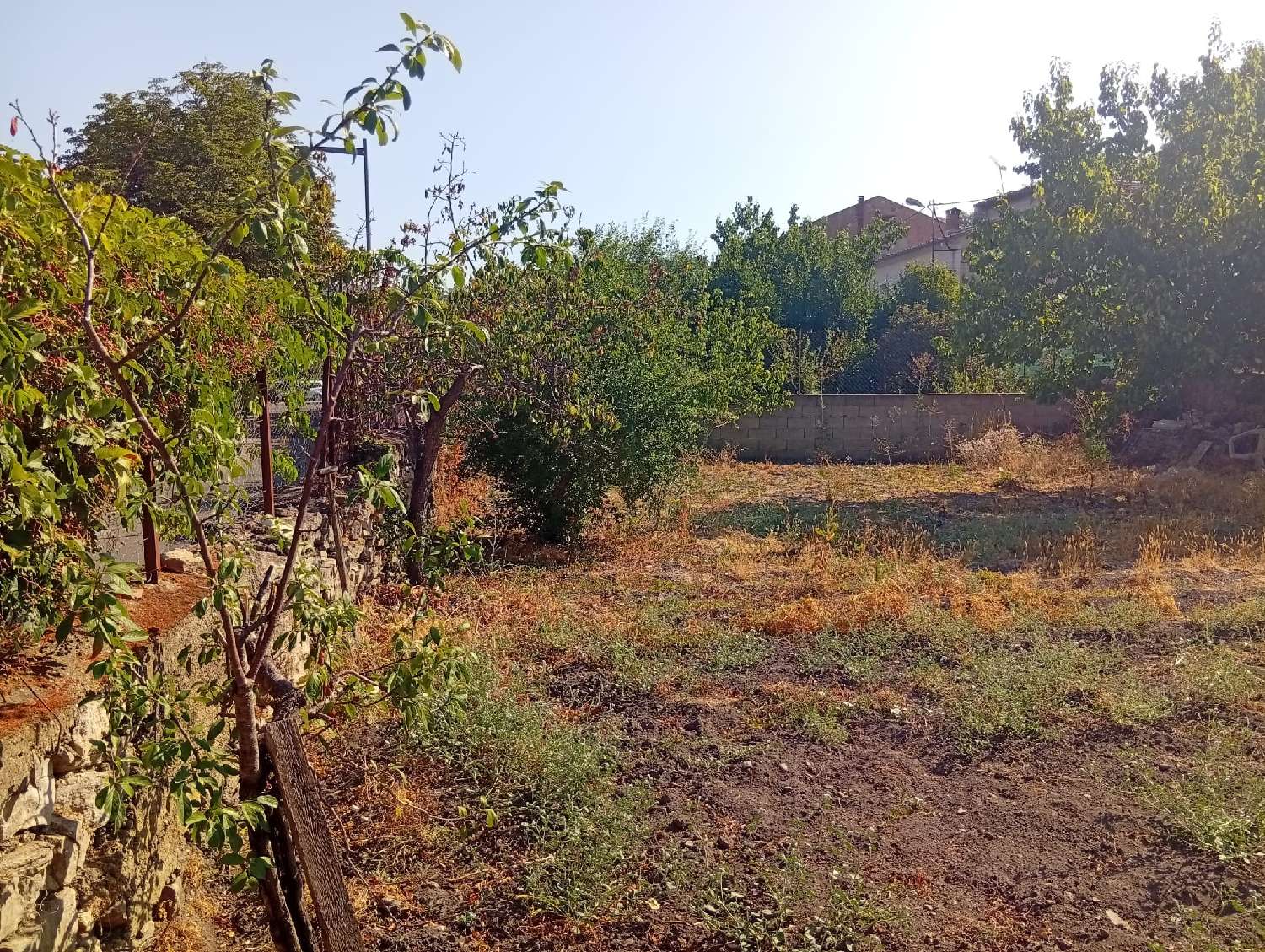 à vendre terrain Bédarieux Hérault 4