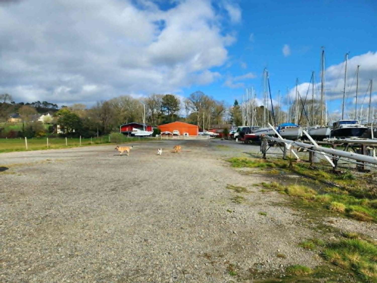  for sale terrain Béganne Morbihan 6