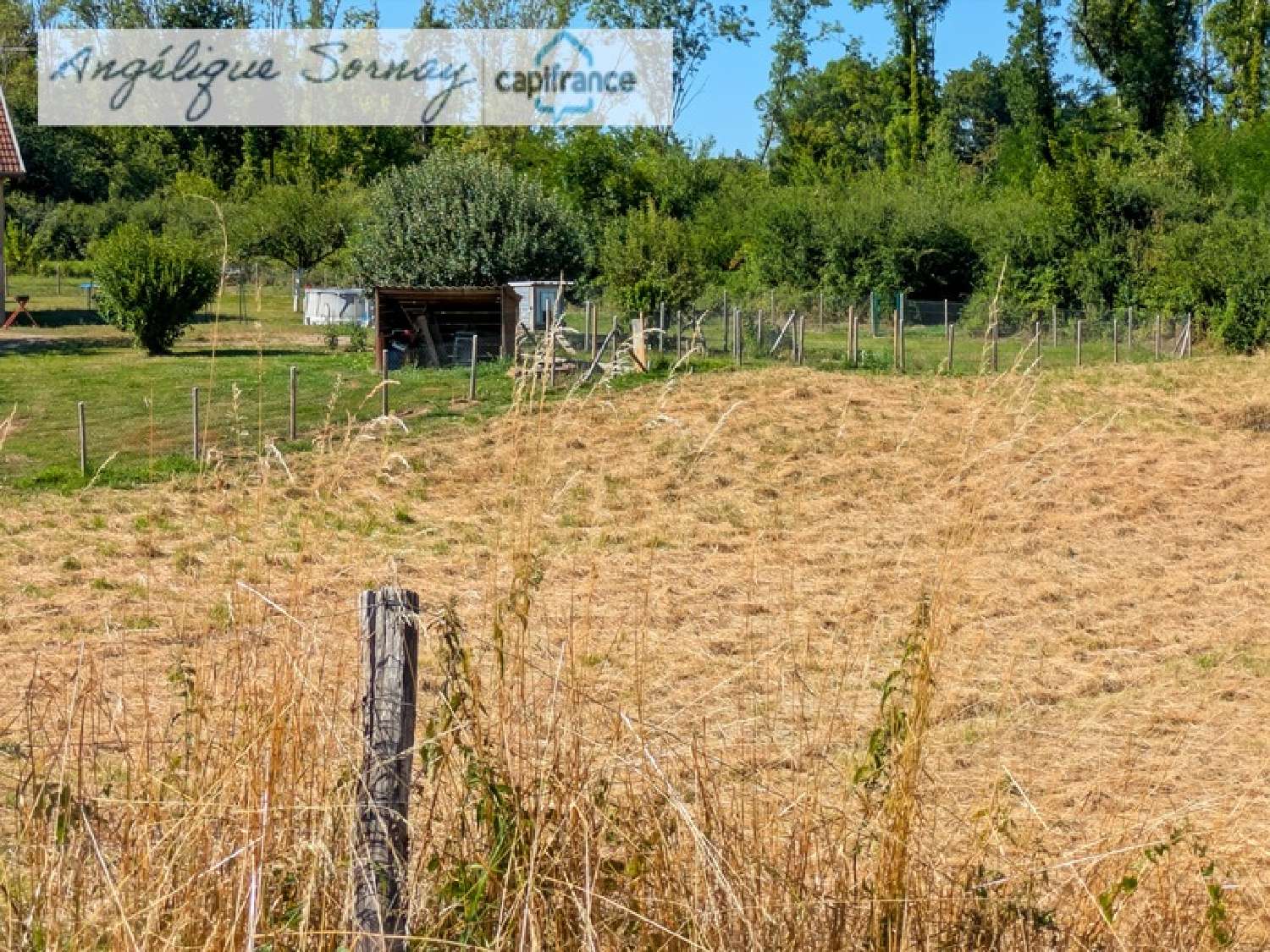  for sale terrain Bletterans Jura 3