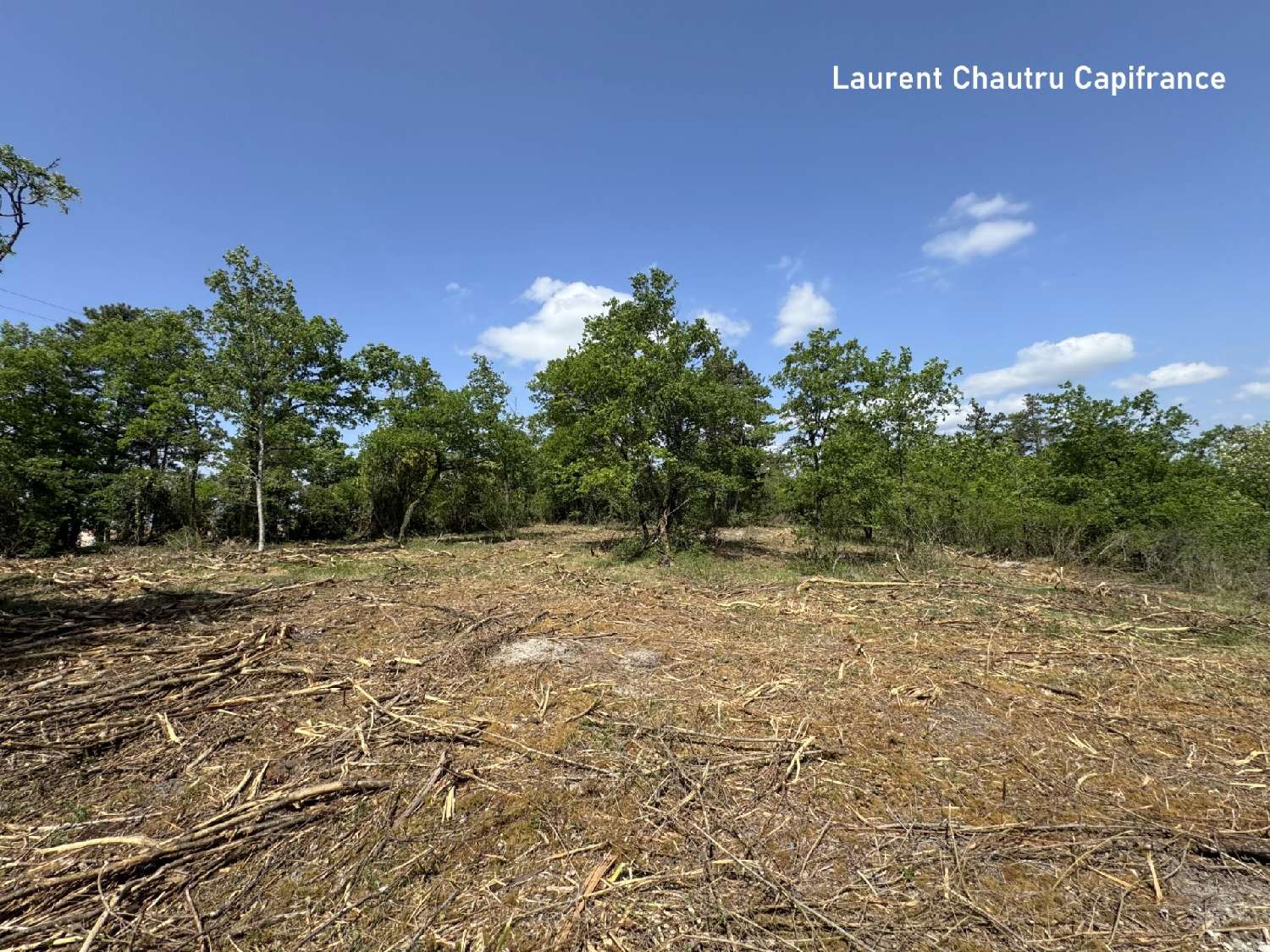 for sale terrain Blis-et-Born Dordogne 4