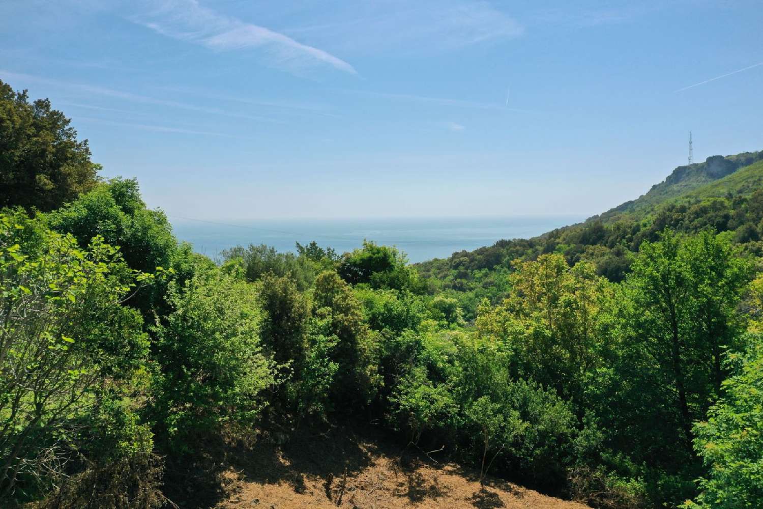 for sale terrain Brando Haute-Corse 1