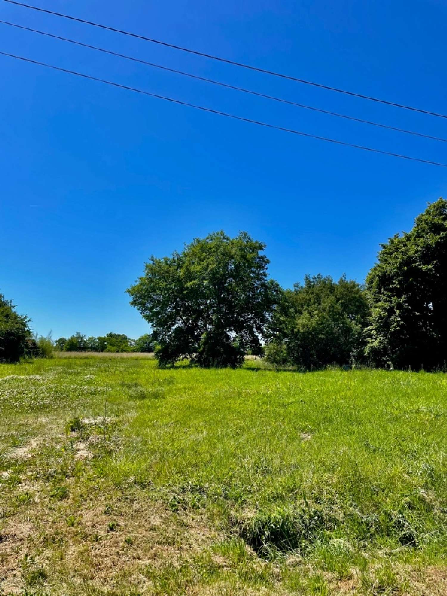 for sale terrain Bressols Tarn-et-Garonne 5
