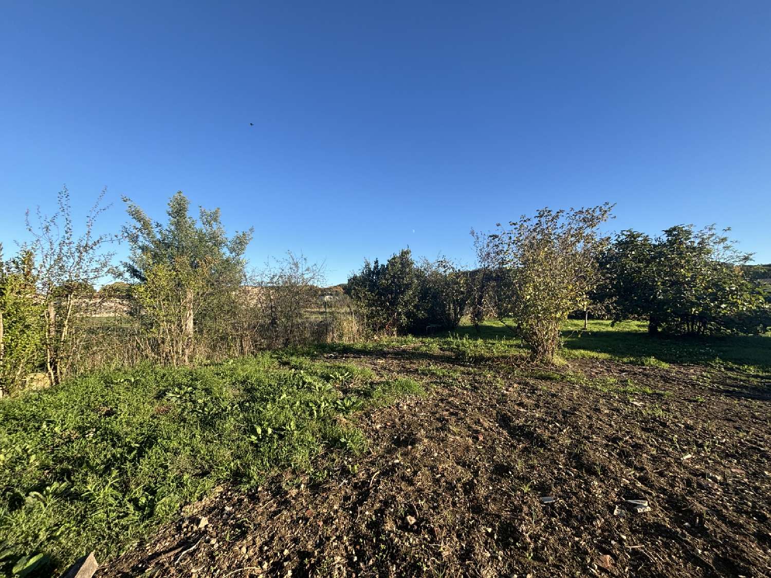  te koop terrein Briatexte Tarn 2