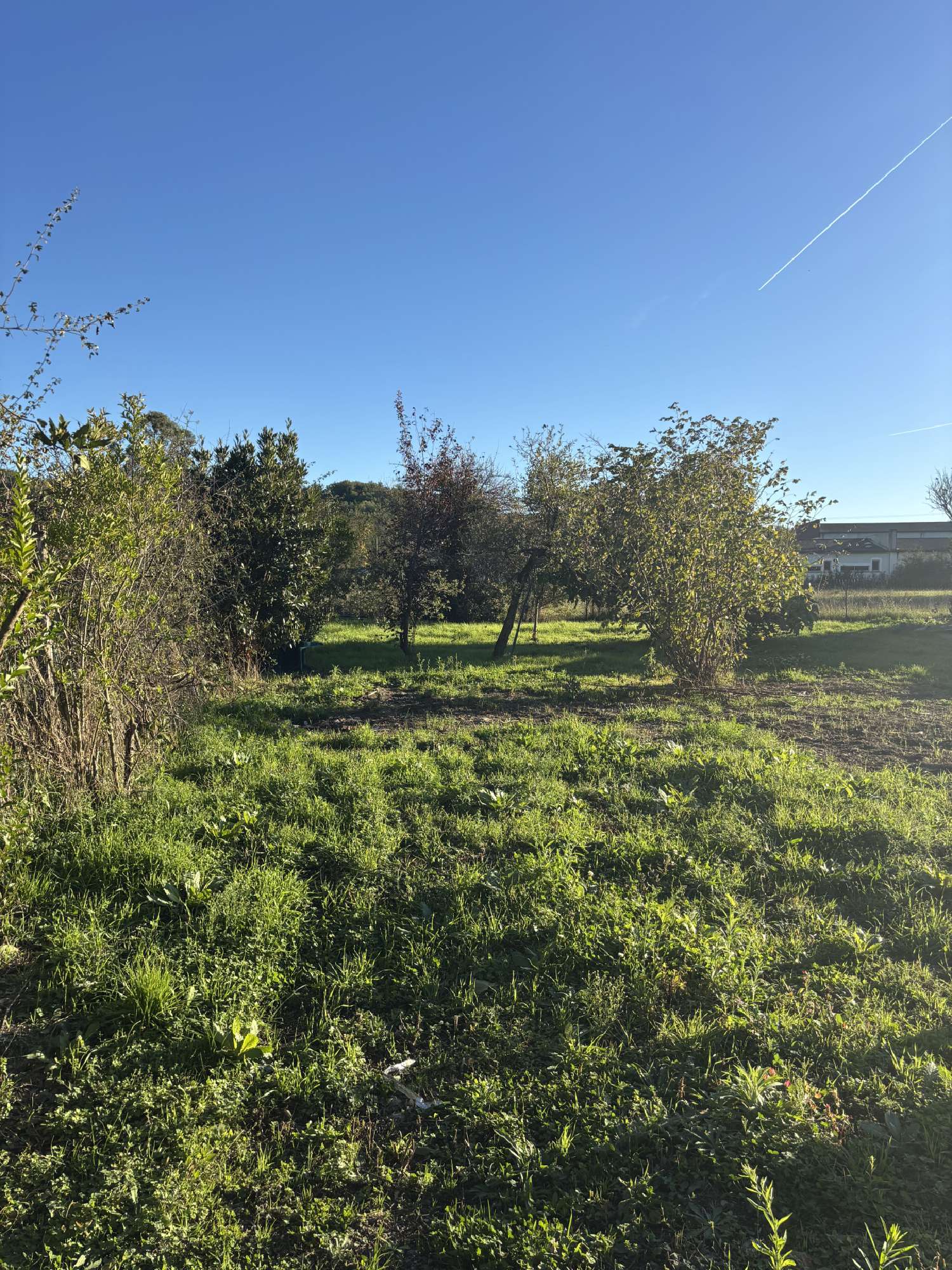  te koop terrein Briatexte Tarn 3